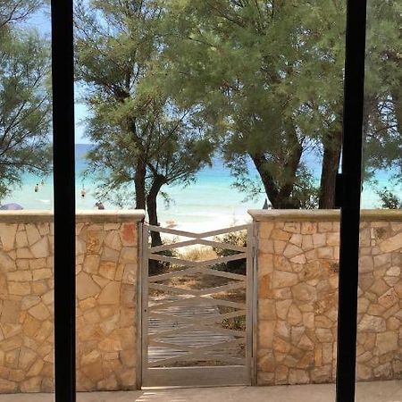 Villa Zack Сан Пиетро ин Беваня Екстериор снимка